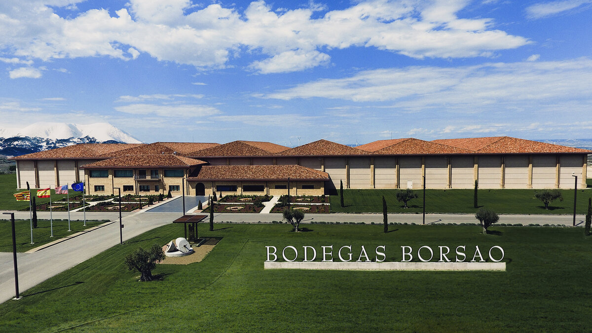 Borsao - das große Weingut aus Borja 